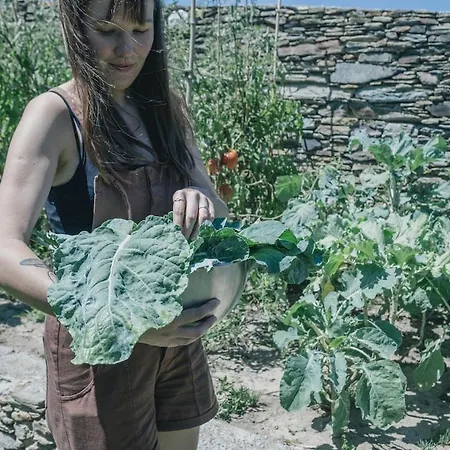 招待所 Casa Do Porco - Farm & No Douro Melres