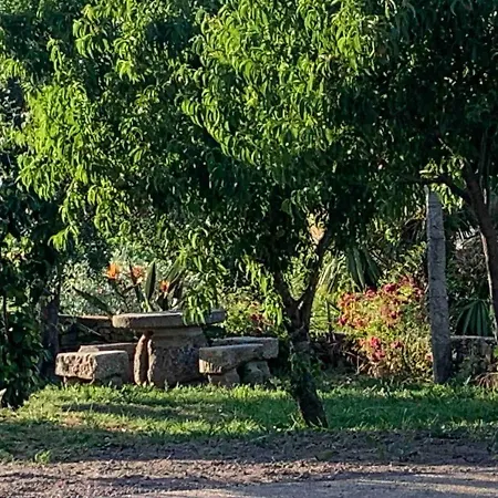 Casa Do Porco - Farm & No Douro 招待所 3*