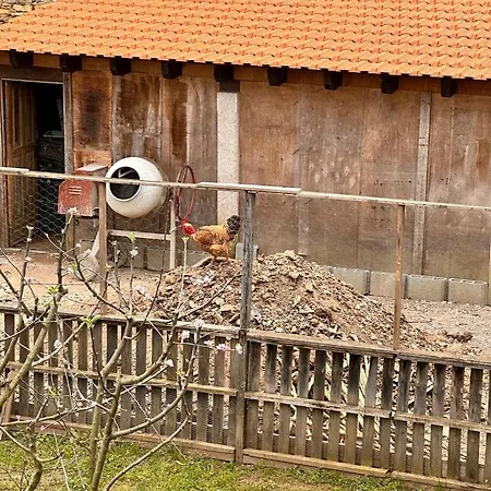 Casa Do Porco - Farm & No Douro 3*
