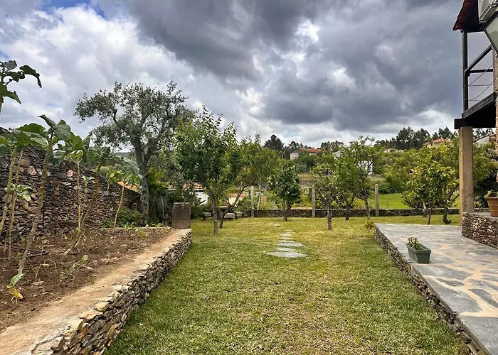 Casa Do Porco - Farm & No Douro