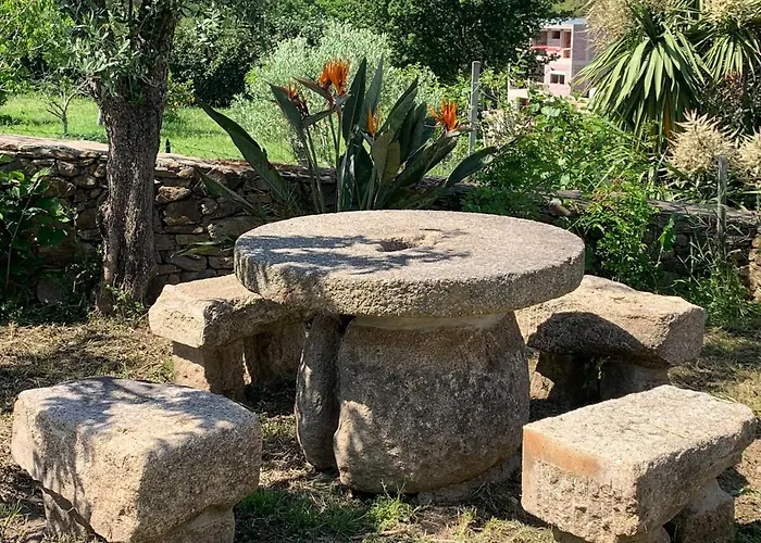 Casa Do Porco - Farm & No Douro Melres