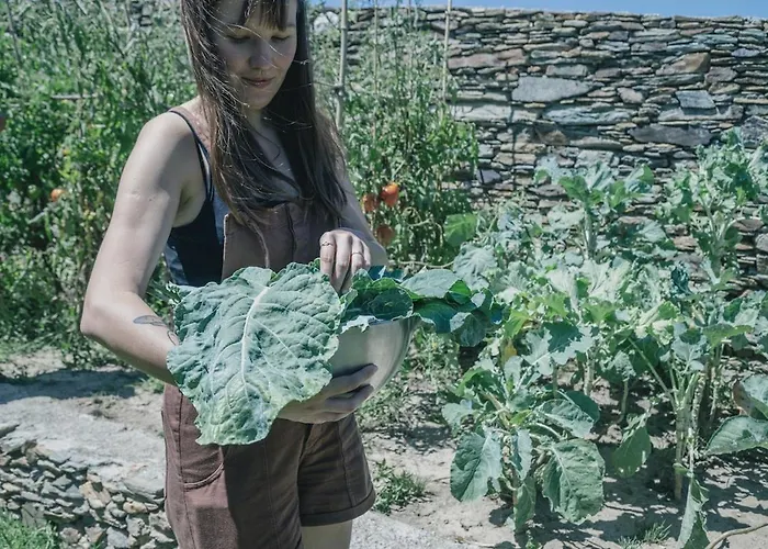 게스트하우스 Casa Do Porco - Farm & No Douro Melres