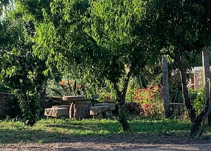 Casa Do Porco - Farm & No Douro 게스트하우스 3*