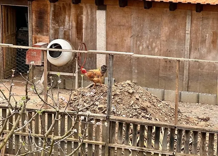 Casa Do Porco - Farm & No Douro 3*