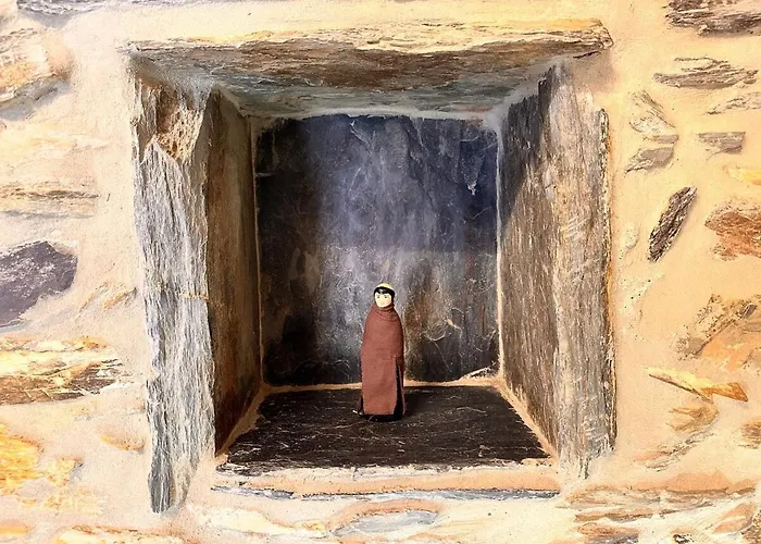 Casa Do Porco - Farm & No Douro 게스트하우스