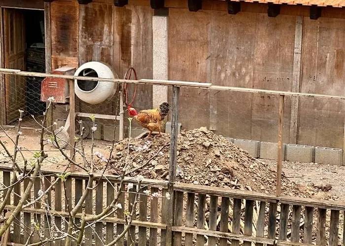 Casa Do Porco - Farm & No Douro 게스트하우스
